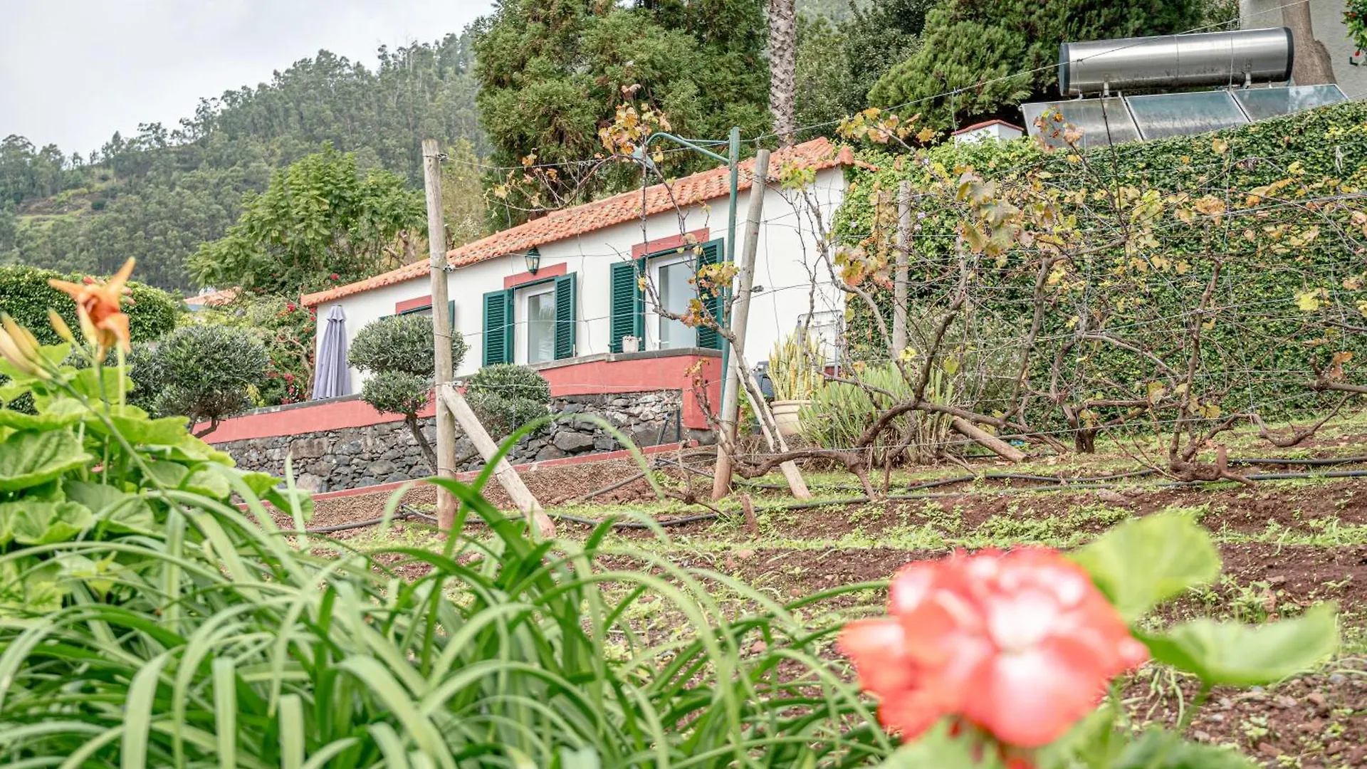 Historical Quinta Vista Mar Do Arco Villa Arco da Calheta  Holiday home
