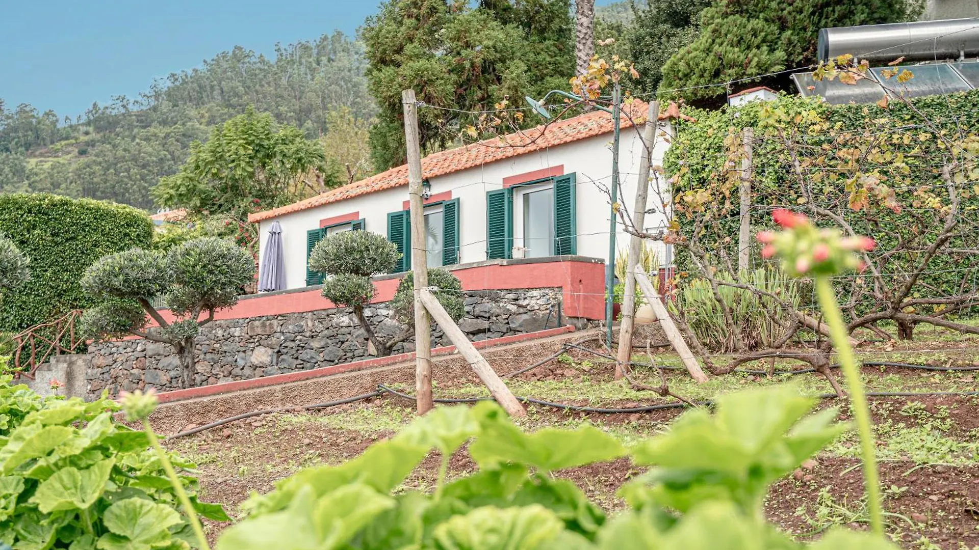 Holiday home Historical Quinta Vista Mar Do Arco Villa Arco da Calheta